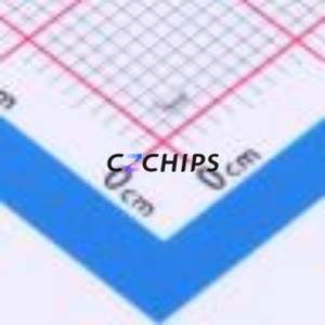 Résistance CMS RT0603DRE07300KL 0603 (Type : Film mince) (Résistance : 300 kOhm Précision : 0,5 %) - Product Image 2