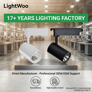 Projecteur sur rail LED COB cylindrique haute luminosité 90 CRI, 3 fils monophasé, pour bijouterie, professionnel, OEM/ODM, luminaire suspendu - Product Image 3