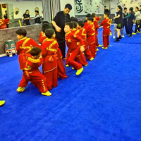 Alfombra de Artes Marciales de Nailon de 1000g al por Mayor, Alfombra Moderna con Mechones Especiales para Escenarios de Ópera y Gimnasios