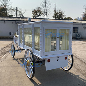 Carroza Fúnebre Eléctrica 2026, Carroza Fúnebre Eléctrica Arrastrada por Caballos, Carroza Fúnebre con Caballos, Carroza Fúnebre Eléctrica - Product Image 4