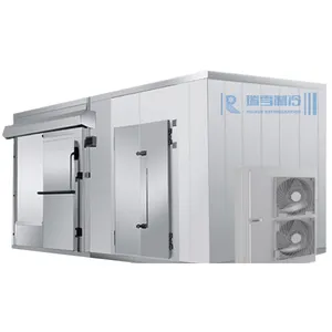 냉장고에 있는 Ruixue 상업적인 공기 돌풍 도보 찬 방 공기에 의하여 냉각되는 냉장고 집광 단위 경첩을 단 문을 가진 저온 저장 Pu 패널