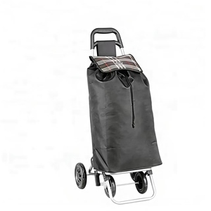 Carrito de Compras Plegable Ecológico Ligero con Diseño de Plataforma, Nuevo Estilo de Alta Calidad con 4 Ruedas - Product Image 5