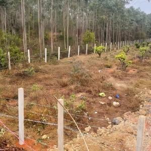 Malla <span class=keywords><strong>de</strong></span> <span class=keywords><strong>Alambre</strong></span> <span class=keywords><strong>de</strong></span> Púas <span class=keywords><strong>de</strong></span> Acero Galvanizado <span class=keywords><strong>de</strong></span> Doble Hilo Ajustable <span class=keywords><strong>de</strong></span> Alta Seguridad Personalizable para la Protección <span class=keywords><strong>de</strong></span> Ferrocarriles y Carreteras - Product Image 6