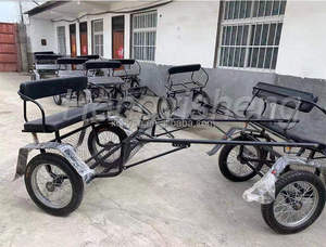 Carro de caballos de dos ruedas personalizado, carro de caballos pony Maraton - Product Image 4