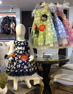 Robe de fête pour bébé fille, style jhabla, en coton imprimé floral, printemps, design élégant, sans manches - Product Image 6