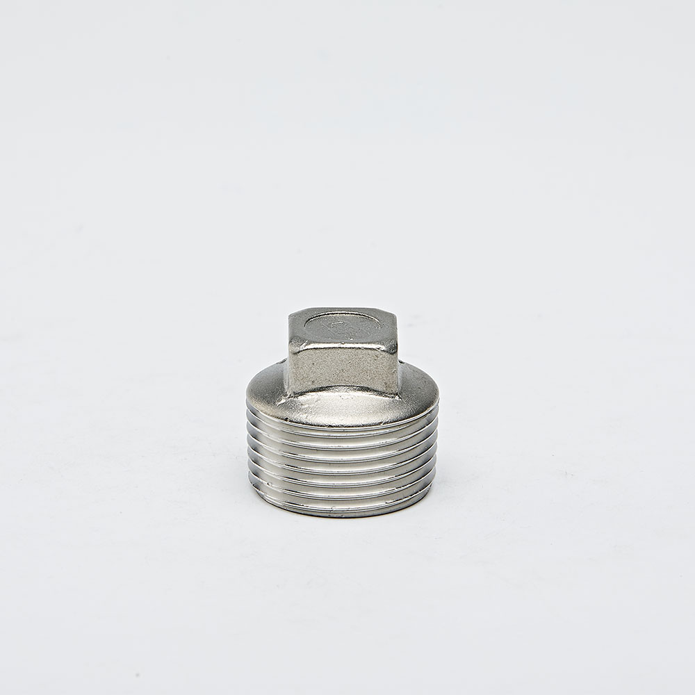 Stainless Steel Pipe Connector NPT/BSP Male Square Fitting Plug 1/2 Inch