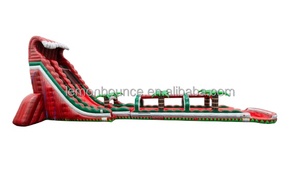 Tobogán Acuático Inflable Personalizado <span class=keywords><strong>para</strong></span> Fiestas en el Patio Trasero <span class=keywords><strong>con</strong></span> <span class=keywords><strong>Piscina</strong></span> <span class=keywords><strong>de</strong></span> Chapoteo, <span class=keywords><strong>Casa</strong></span> <span class=keywords><strong>de</strong></span> Brinco Inflable <span class=keywords><strong>para</strong></span> <span class=keywords><strong>Alquiler</strong></span> en <span class=keywords><strong>Eventos</strong></span> - Product Image 2