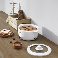 Offre Spéciale Antiadhésif mini multifonctionnel Hot pot poêle Poêle Électrique À Vendre