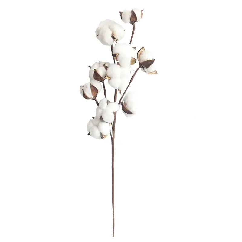 DIY טבעי מיובש כותנה גבעולים חווה מלאכותי פרח פרחוני דקור צמחים מלאכותיים פרחוני סניף מלאכותי כותנה פרח