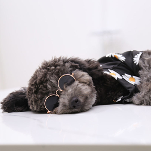 Lunettes de soleil amusantes pour chat et chien, lunettes pour animaux de compagnie, rondes, en métal, petites, classiques, rétro - Product Image 2