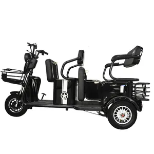 New Style 600W high power 48V 20AH 32AH 3 wheel paseador triciclo eletrica adulto Electric tricycle For adulto