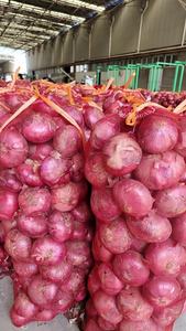 Cebollas Rojas Pequeñas de Yunnan, Calidad Premium, Nueva Cosecha, Aroma Dulce Fresco, Tamaños de 3-5 cm, Empaque en Bolsas de 10 kg/20 kg, Venta al por Mayor de Fábrica - Product Image 3