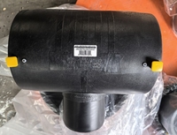 Penjualan Panas Harga Pabrik Standar Eropa HDPE Electrofusion Casting High 45 Degree Elbow Pipe Fittings SDR11 SDR17 20-315mm