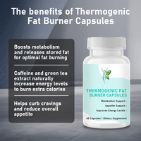 Capsules Thermogéniques Brûle-Graisses à Marque Blanche pour le Soutien du Métabolisme à l'Extrait de Fruit d'Açaï et l'Accélération du Métabolisme