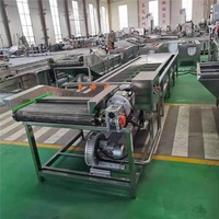 Sinaasappel Polijsten Sorteren Mango Citrusdruivenpitreinigingsmachine En Verpakkingsreinigingsmachine Voor Fruit