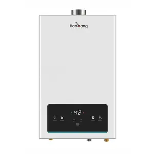 Safe Multi Capacity Dimensions Environmental Protection Small Error Gas Water Heater