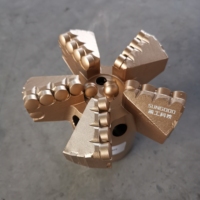 Usine 6 pouces 153mm 5 lames Concave PDC Bits PDC Drag Bit PDC Blade Bit pour le forage de puits