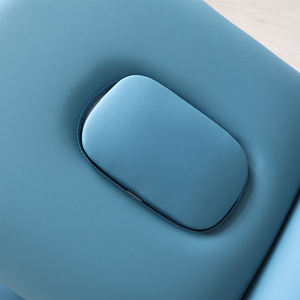 Lit de massage <span class=keywords><strong>électrique</strong></span> à 2 moteurs, vente chaude, réglable multi-angles, pour l'<span class=keywords><strong>ostéopathie</strong></span> et l'acupuncture, traitement de la physiothérapie spinale - Product Image 5