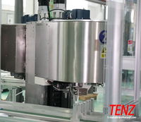 Ligne de remplissage servo à double buse TENZ pour liquides hautement visqueux, 40-70 pièces/min, entièrement automatique, contrôlée par PLC + écran tactile, pompe à piston céramique