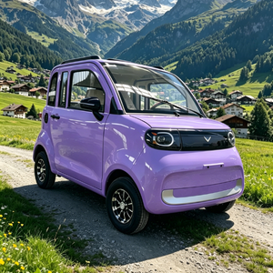 Modèles très demandés sur le marché roumain : Véhicule électrique à énergie nouvelle haute performance, vente directe d'usine, <span class=keywords><strong>mini</strong></span>-voiture électrique - Product Image 6