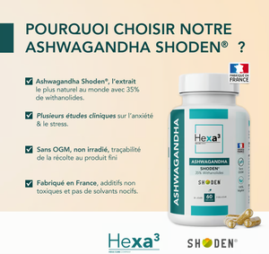 Capsules d'extrait d'ashwagandha Shoden étiquetées X60 Hexa3 pour améliorer la mémoire et le sommeil - Product Image 3