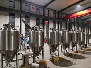 Hệ Thống Sản Xuất Bia Chìa Khóa Trao Tay 200L Hệ Thống Chế Biến <span class=keywords><strong>1BBL</strong></span> Nhà Máy Sản Xuất Bia - Product Image 6