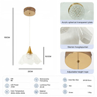 Lustre suspendu en fer doré OEM ODM, 3000K 4500K 6500K, avec corde réglable de 150 cm, pour salon et café
