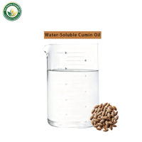 Factory Direct Water Soluble Cumin Seed Oil Food Grade Natural Spice for Sauce Instant Food Free Sample Available