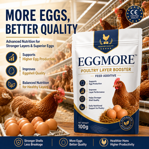Prémélange soluble dans l'eau de vitamines et minéraux <span class=keywords><strong>AD3E</strong></span> pour poulets de chair et poules pondeuses, enrichi en acides aminés et enzymes de qualité alimentaire en poudre - Product Image 1