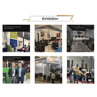 Cheminée en fonte de qualité européenne, design moderne durable, autoportante, à bois, écologique, pour l'intérieur