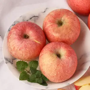 Fuji Apple Fresh Gala Crispy Conteneur d'importation de grand volume 20 pieds Grossiste pomme