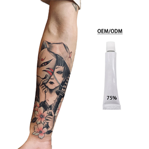 Venta al por mayor: Nuevas tendencias en polvo para tatuajes, crema para cejas y labios, crema de tratamiento, maniquí de práctica para tatuajes, venta directa. - Product Image 5