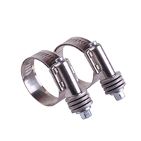 Collier de serrage en acier inoxydable à couple constant avec engrenage à vis sans fin