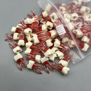 Modello dentale educativo: dente canalare a bande rosse con radici per la pratica studentesca in endodonzia e riempimento della cavità - Product Image 6