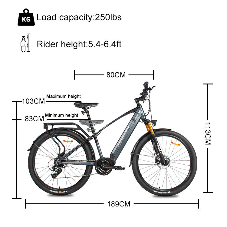 Eu Warehouse Free Shipping Fashionable Mid Motor Electric Bike 29