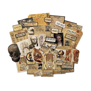 Matériel de scrapbooking DIY vintage : tissu, carton, photos, pour décoration d'albums, journaux, Happy Planner et projets de création sur le thème de l'anatomie et du macabre. - Product Image 6