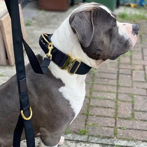 Ensemble de harnais pour chien en nylon personnalisé de qualité supérieure, rembourrage en mousse, collier de dressage tactique pour chien, laisse, boucle en métal avec poignée - Product Image 2