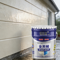 Peinture murale extérieure imperméable résistante aux UV, peinture acrylique latex, peinture murale en ciment pour la maison, revêtement mural intérieur extérieur, vernis blanc