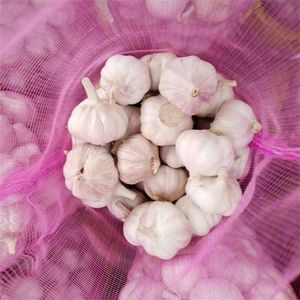 Bawang Putih Segar Murni atau Normal Sayuran Segar Harga Grosir Alho Ail Ajo Ajo Diekspor Dari Cina - Product Image 4