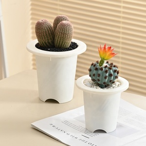 Dicke runde weiße schwarze Kunststoff-Sukkulenten-Pflanz gefäße <span class=keywords><strong>Rohdea</strong></span> Japonica Evergreen Cactus Plant Pot - Product Image 3