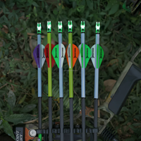 Embouts lumineux promotionnels HT pour flèches .204"/.233"/.244"/.246" avec interrupteur marche/arrêt, lot de 12 avec bagues H, S, GT