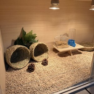 Grande <span class=keywords><strong>cage</strong></span> pour animaux de compagnie, <span class=keywords><strong>cage</strong></span> pour hamster et habitat, aire de jeux, boîte d'alimentation pour poulets avec deux portes pour lapins, cochons d'Inde - Product Image 6