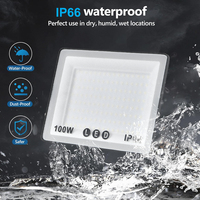 Projecteur LED extérieur super lumineux à haute efficacité 10-200W avec projecteur Ip66 pour projecteur de haute qualité de stade de sport