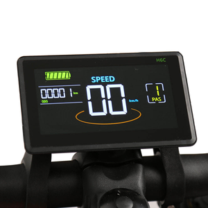 Vélo électrique TXED, nouveau design, 20 pouces, moteur 48V 500W, frein à disque hydraulique, avec siège latéral, moto électrique de tourisme - Product Image 6
