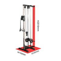 Mesin Gym Rumahan Multifungsi Perak, Kabel Crossover Pulley yang Dipasang di Dinding untuk Latihan Lat Pull Row, Berat Pengguna Maksimal 200kg