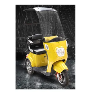 China supplier fashionable electric bike 3 wheels electric tricycles with roof