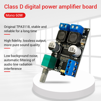 WUZHI AUDIO 601 60W 12V24V Module amplificateur de haut-parleur numérique Mono classe D Machine à jeux Distributeur automatique TPA3118 Module de son