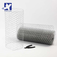 Grillage hexagonal galvanisé en gros, plusieurs tailles, grillage à poules pour clôture de sécurité de ferme, jardin, rouleau de filet