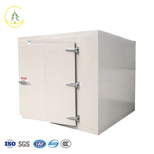 Hoàng gia thương hiệu lạnh lưu trữ phòng tiêu cực-<span class=keywords><strong>70</strong></span> độ C cho vaccine/hosipital sử dụng - Product Image 2