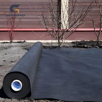 Tela Geotextil No Tejida, Plástico PP Ecológico Industrial para Agricultura, Drenaje, Control de Malezas y Separación de Suelos